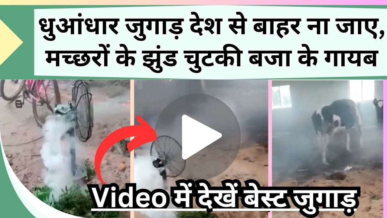 ये धुआंधार जुगाड़ देश से बाहर ना जाए, मच्छरों के झुंड चुटकी बजा के गायब, Video में देखें गौशाला के लिए बेस्ट जुगाड़
