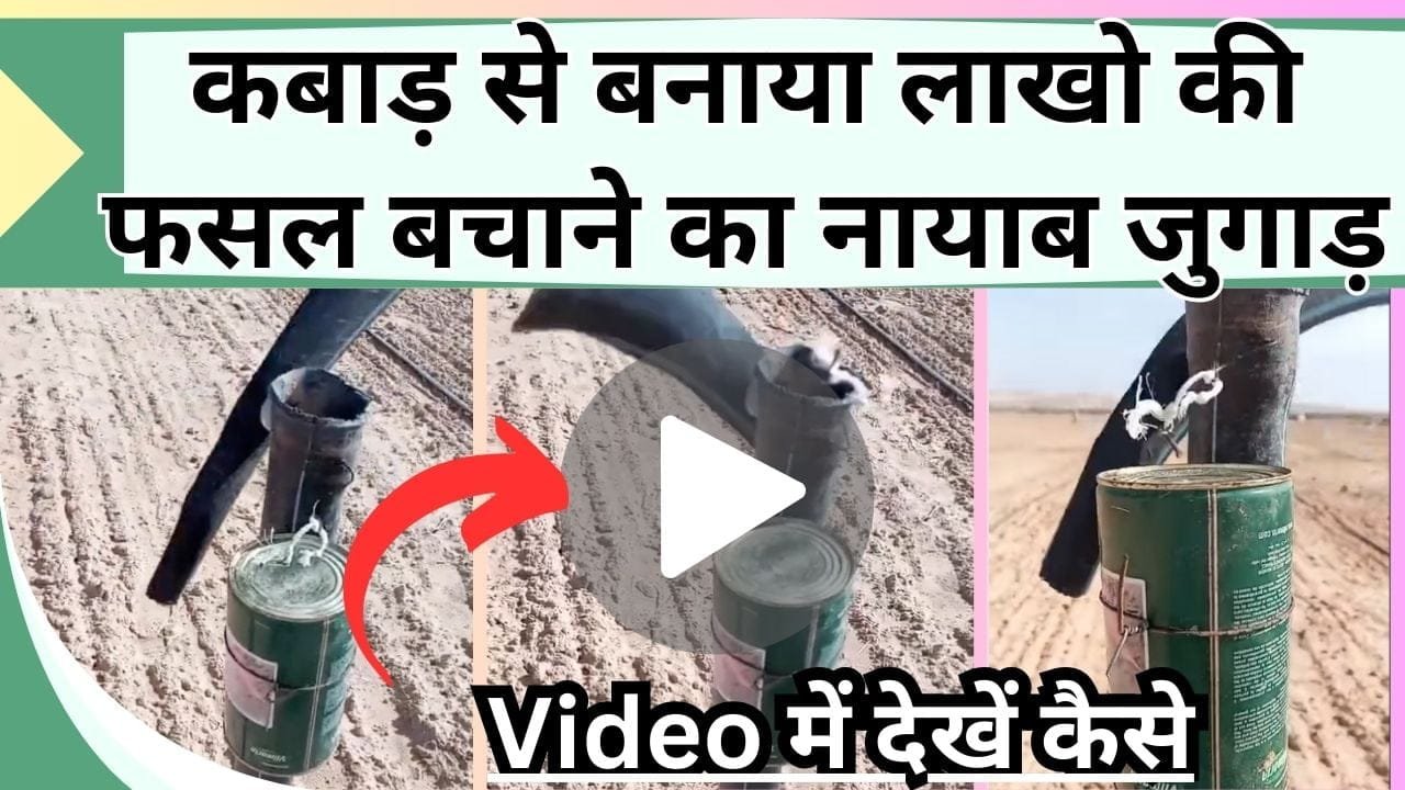 कबाड़ से बनाया लाखो की फसल बचाने का नायाब जुगाड़, Video में देखें फेंके हुई चीजों से कैसे बनी काम की चीज