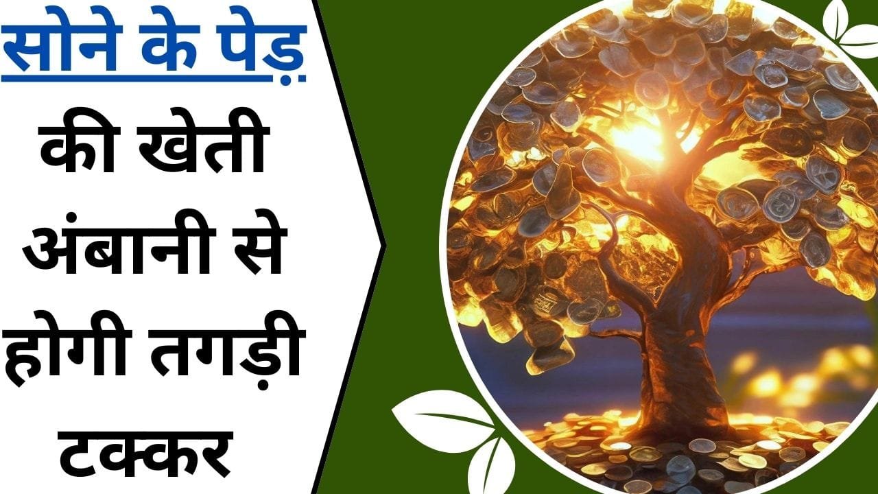 नौकर के जीवन को छोड़िए, कीजिए सोने के पेड़ की खेती, अंबानी से होगी तगड़ी टक्कर, अगर कर ली इस पैसों वाली फसल की खेती....