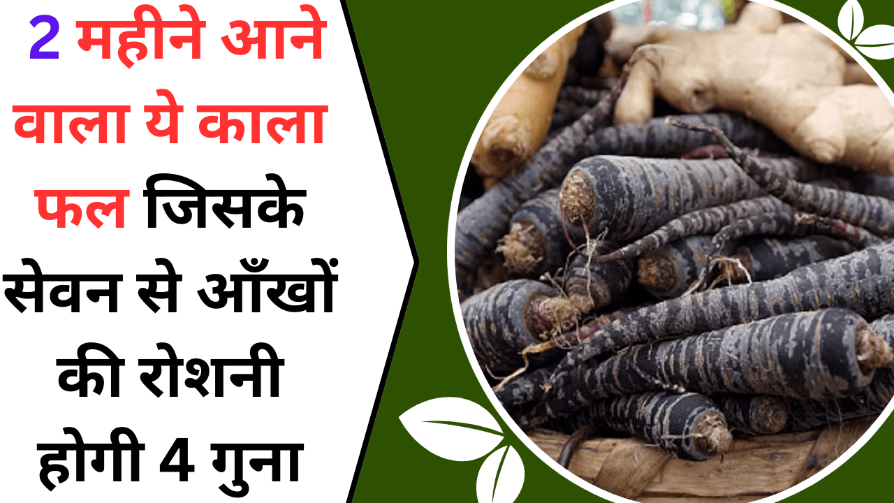 पुरे साल में 2 महीने आने वाला ये काला फल, जिसके सेवन से आँखों की रोशनी 4 गुना, जाने इस फल के बारे में