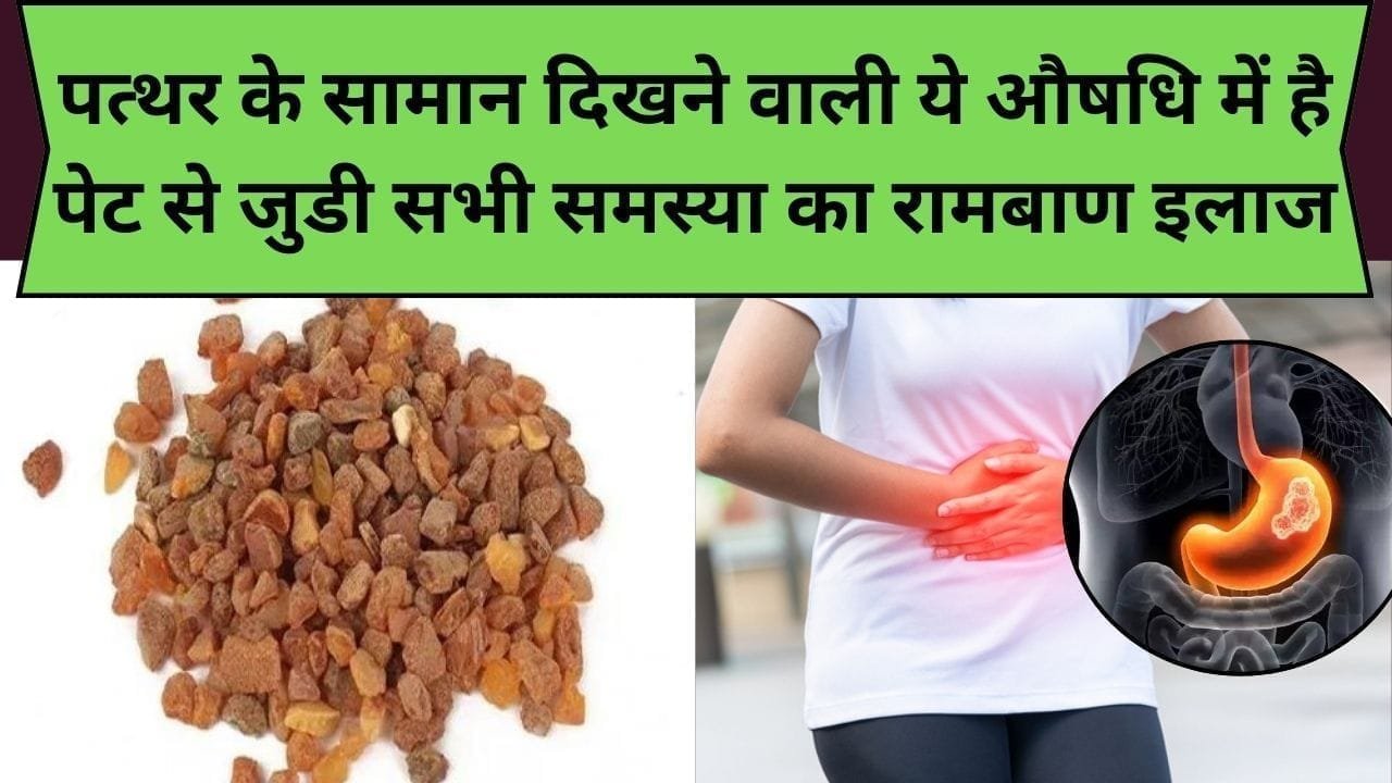 पत्थर के सामान दिखने वाली ये औषधि में है पेट से जुडी सभी समस्या का रामबाण इलाज, इसके सेवन से शरीर में आती फौलादी ताकत, जाने औषधि का नाम