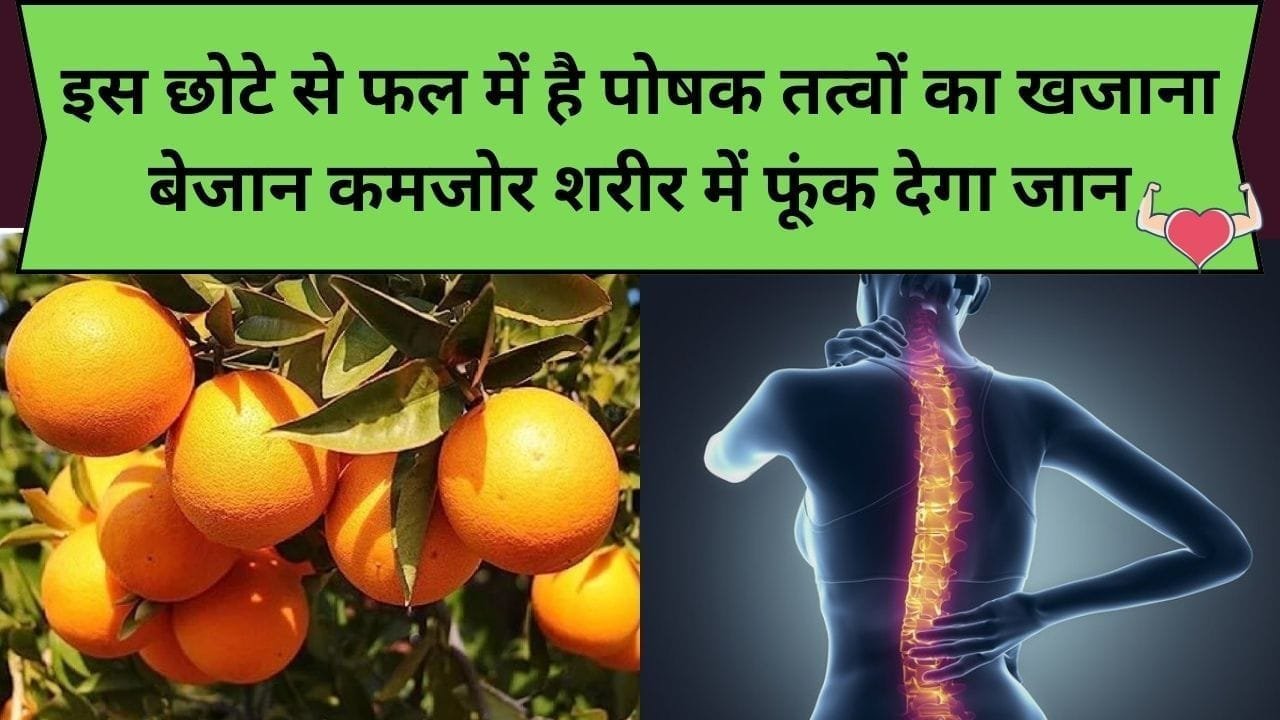 इस छोटे से फल में है पोषक तत्वों का खजाना, बेजान कमजोर शरीर में फूंक देगा जान, जाने कौन-सा फल है