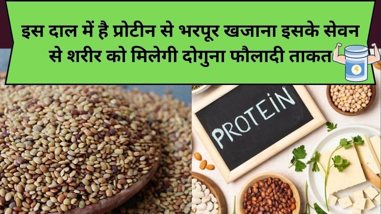 इस दाल में है प्रोटीन से भरपूर खजाना, इसके सेवन से शरीर को मिलेगी दोगुना फौलादी ताकत, जाने नाम और काम