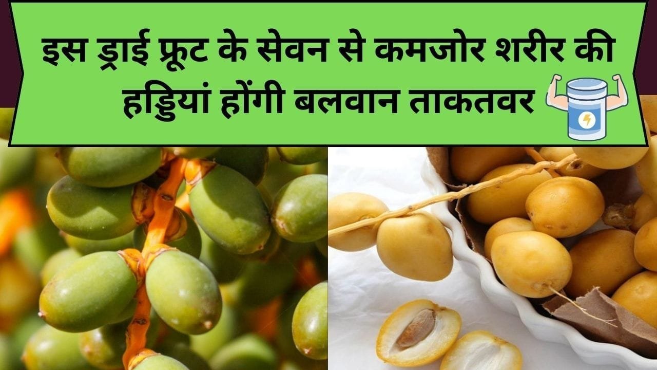 इस ड्राई फ्रूट के सेवन से कमजोर शरीर की हड्डियां होंगी बलवान ताकतवर, डाइट में करें शामिल, जाने ड्राई फ्रूट का नाम