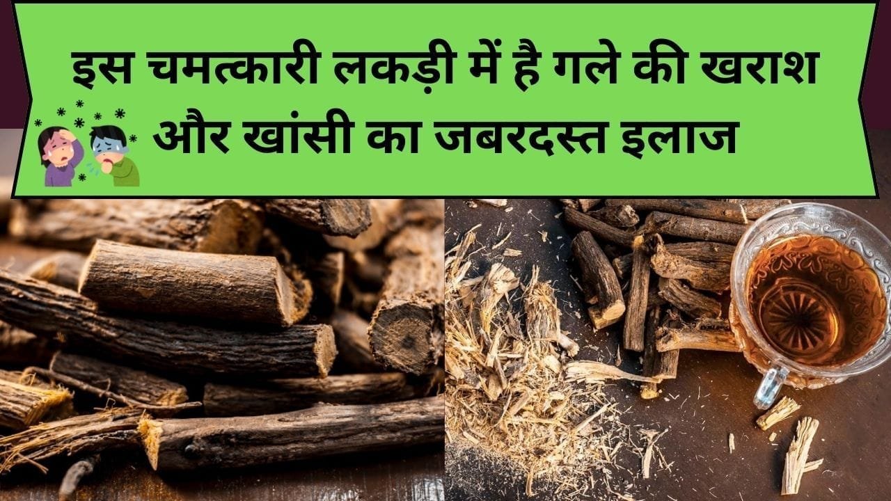 इस चमत्कारी लकड़ी में है गले की खराश और खांसी का जबरदस्त इलाज, मुंह में रखते ही सारी बीमारियां होंगी छूमंतर, जाने इसका नाम