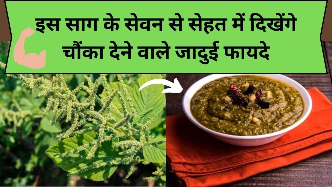 इस साग के सेवन से सेहत में दिखेंगे चौंका देने वाले जादुई फायदे, पोषक तत्वों का भरपूर खजाना, जाने नाम और काम