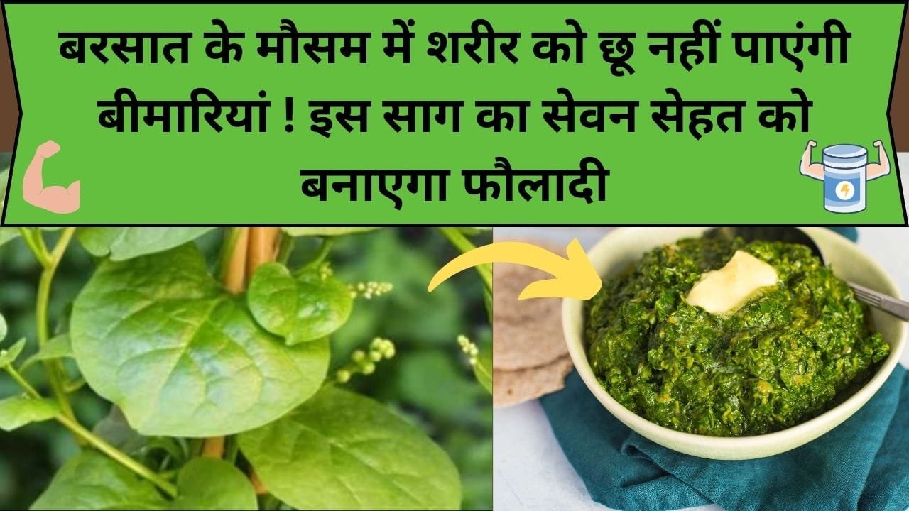 बरसात के मौसम में शरीर को छू नहीं पाएंगी बीमारियां ! इस ताकतवर साग का सेवन सेहत को बनाएगा फौलादी, जाने इसका नाम