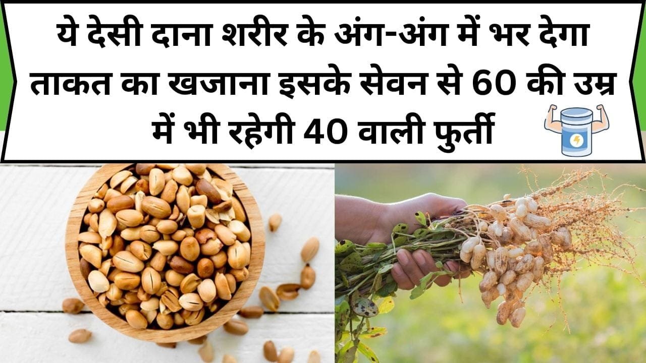 ये देसी दाना शरीर के अंग-अंग में भर देगा ताकत का खजाना, इसके सेवन से 60 की उम्र में भी रहेगी 40 वाली फुर्ती, जाने नाम और काम