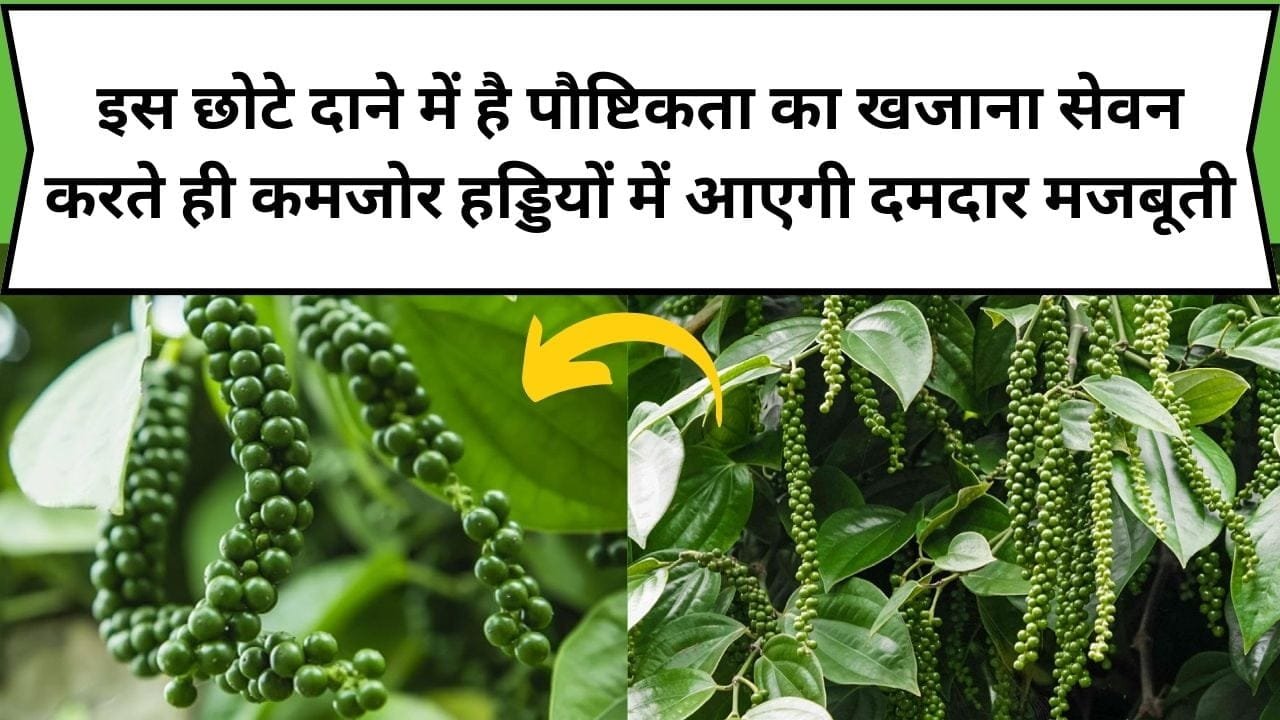 इस छोटे दाने में है पौष्टिकता का खजाना, सेवन करते ही कमजोर हड्डियों में आएगी दमदार मजबूती, जाने नाम और काम