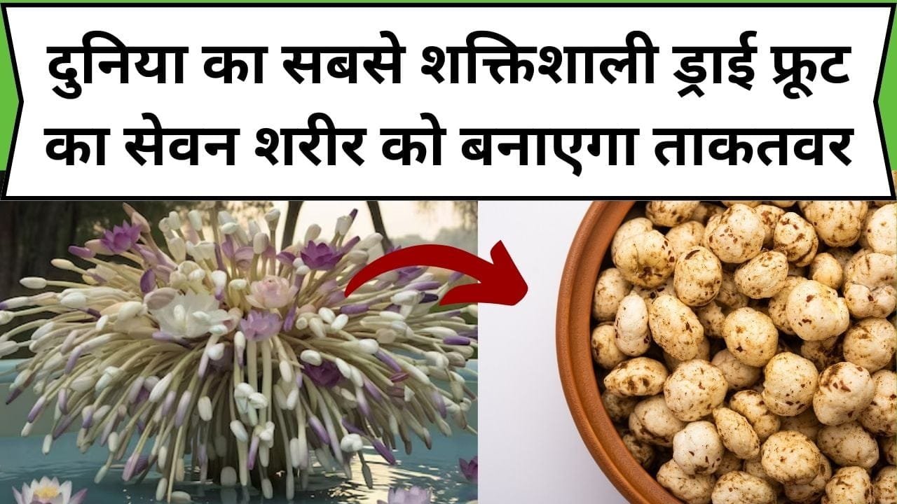 दुनिया का सबसे शक्तिशाली ड्राई फ्रूट का सेवन शरीर को बनाएगा ताकतवर, इसके सेवन बुढ़ापा भी डर के भाग जाएगा, जाने नाम और काम