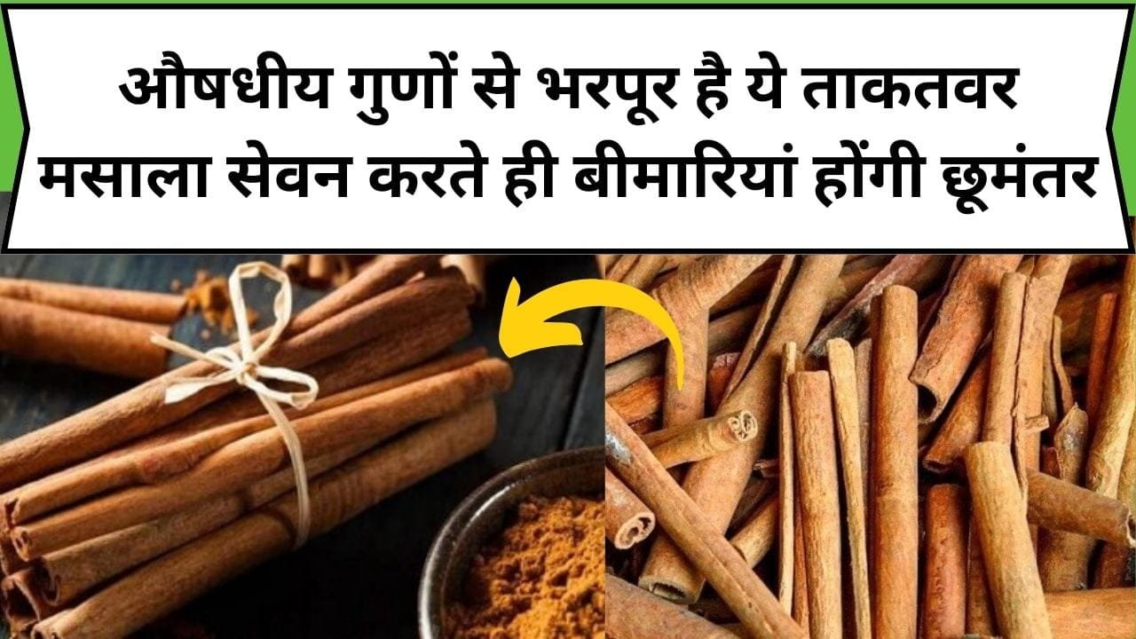 औषधीय गुणों से भरपूर है ये ताकतवर मसाला, सेवन करते ही बीमारियां होंगी छूमंतर, जाने नाम और काम