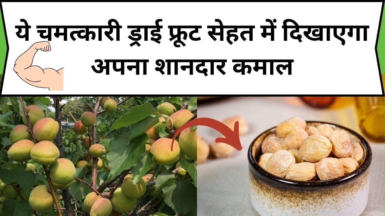 ये चमत्कारी ड्राई फ्रूट सेहत में दिखाएगा अपना शानदार कमाल, इसके सेवन से शरीर में आएगी फौलादी ताकत, जाने इसका का नाम