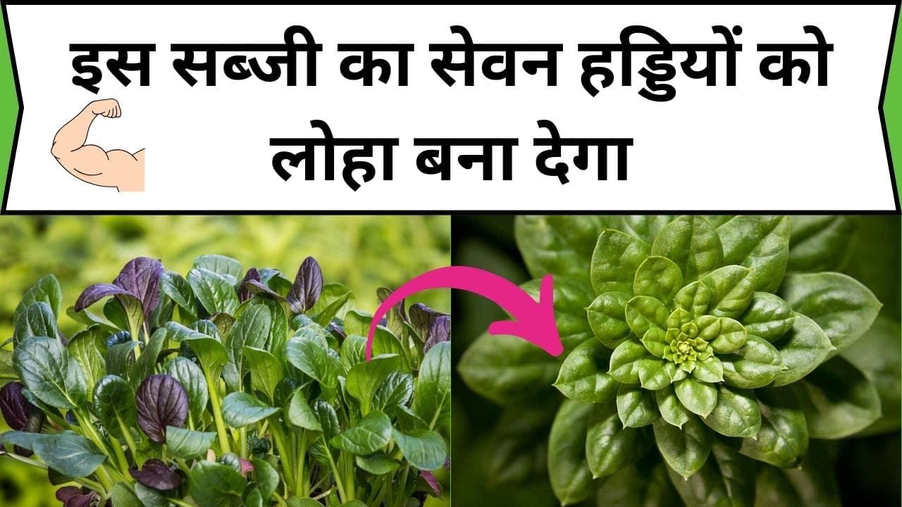 इस सब्जी का सेवन हड्डियों को लोहा बना देगा, इसमें है आयरन से भरपूर खजाना, जाने सब्जी का नाम और फायदे