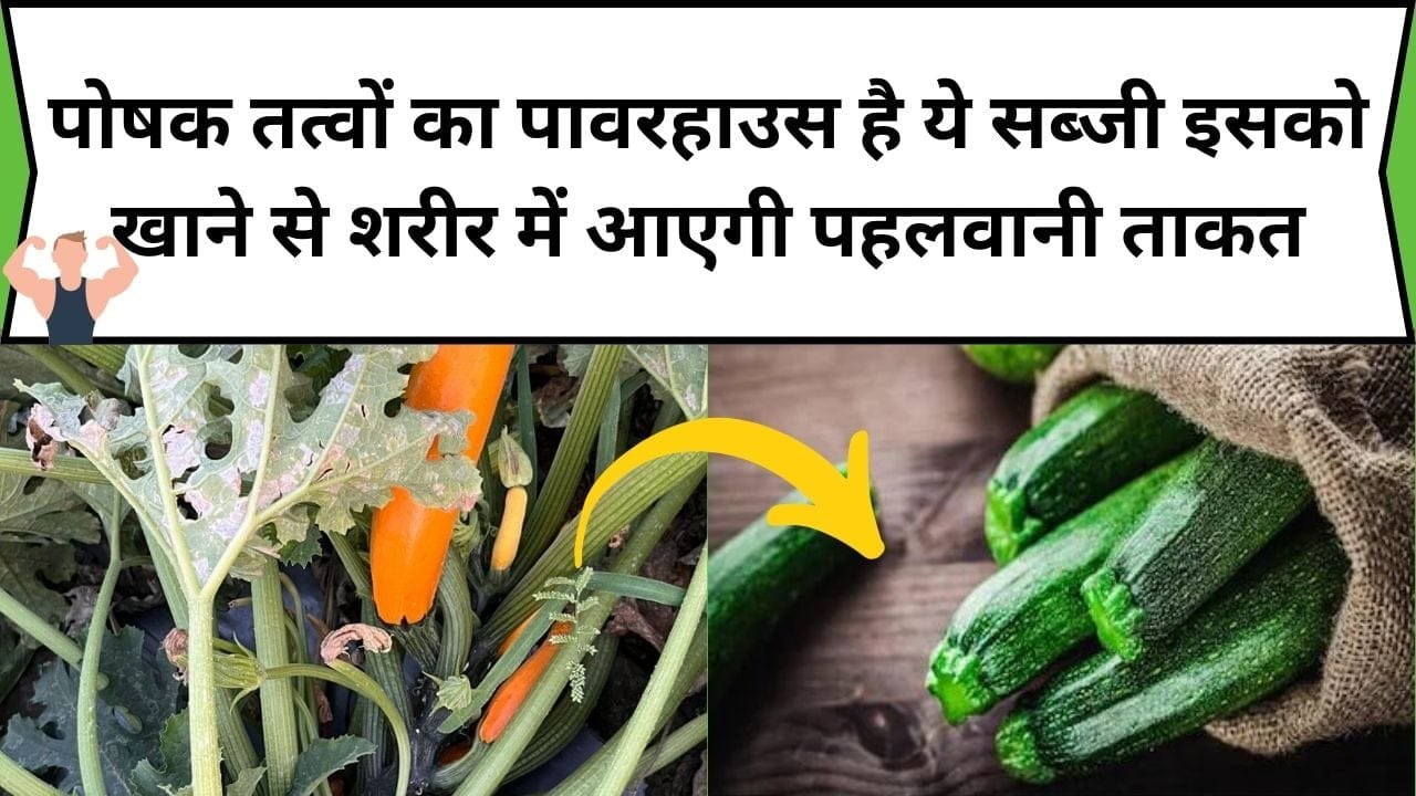 पोषक तत्वों का पावरहाउस है ये ताकतवर सब्जी, इसको खाने से शरीर में आएगी पहलवान जैसी ताकत, जाने सब्जी का नाम और काम