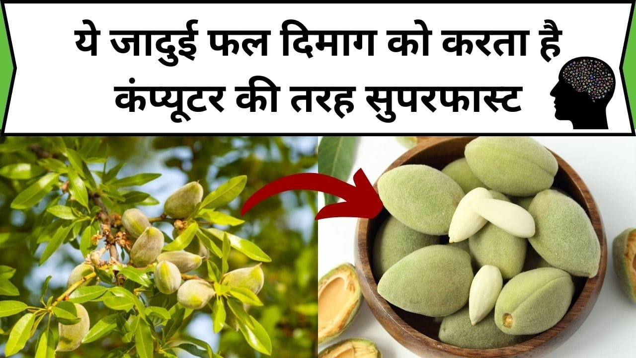 ये जादुई फल दिमाग को करता है कंप्यूटर की तरह सुपरफास्ट, सेवन करते ही दिमाग की शक्ति होगी दोगुना तेज़, जाने इस फल का नाम और काम