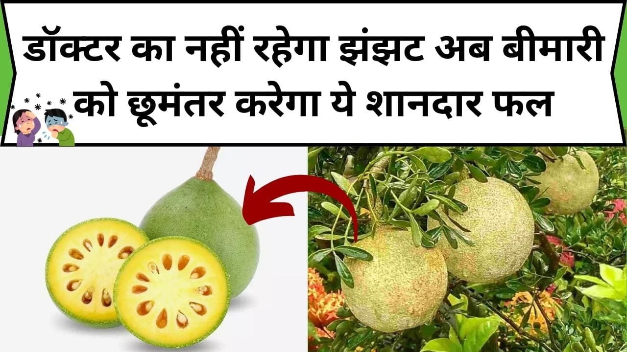 डॉक्टर का नहीं रहेगा झंझट, अब बीमारी को छूमंतर करेगा ये शानदार फल, जाने नाम और काम