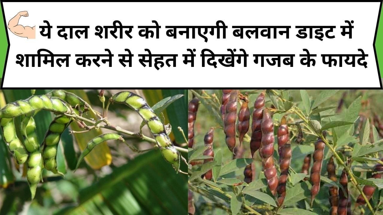 ये दाल शरीर को बनाएगी बलवान, डाइट में शामिल करने से सेहत में दिखेंगे गजब के चौंका देने वाले फायदे, जाने इस दाल का नाम और काम