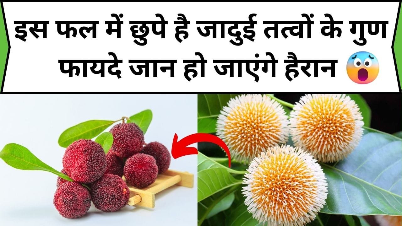 इस फल में छुपे है जादुई तत्वों के गुण, सेवन करते ही शरीर में आएगी बाहुबली जैसी मजबूती, फायदे जान हो जाएंगे हैरान