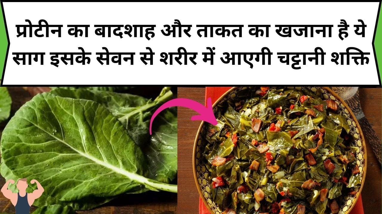 प्रोटीन का बादशाह और ताकत का खजाना है ये साग, इसके सेवन से शरीर में आएगी चट्टानी शक्ति, जाने साग का नाम और काम
