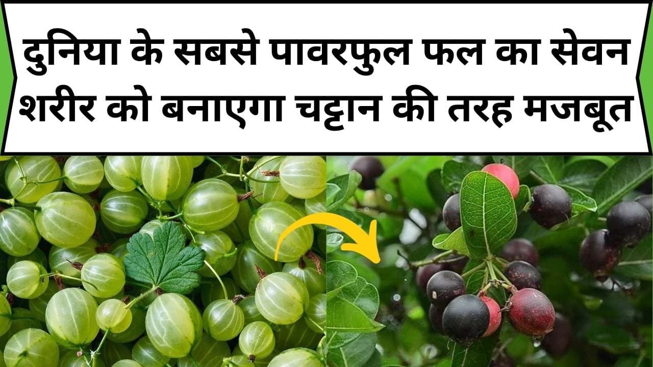 दुनिया के सबसे पावरफुल फल का सेवन शरीर को बनाएगा चट्टान की तरह मजबूत, फल एक फायदे अनेक, जाने नाम और काम