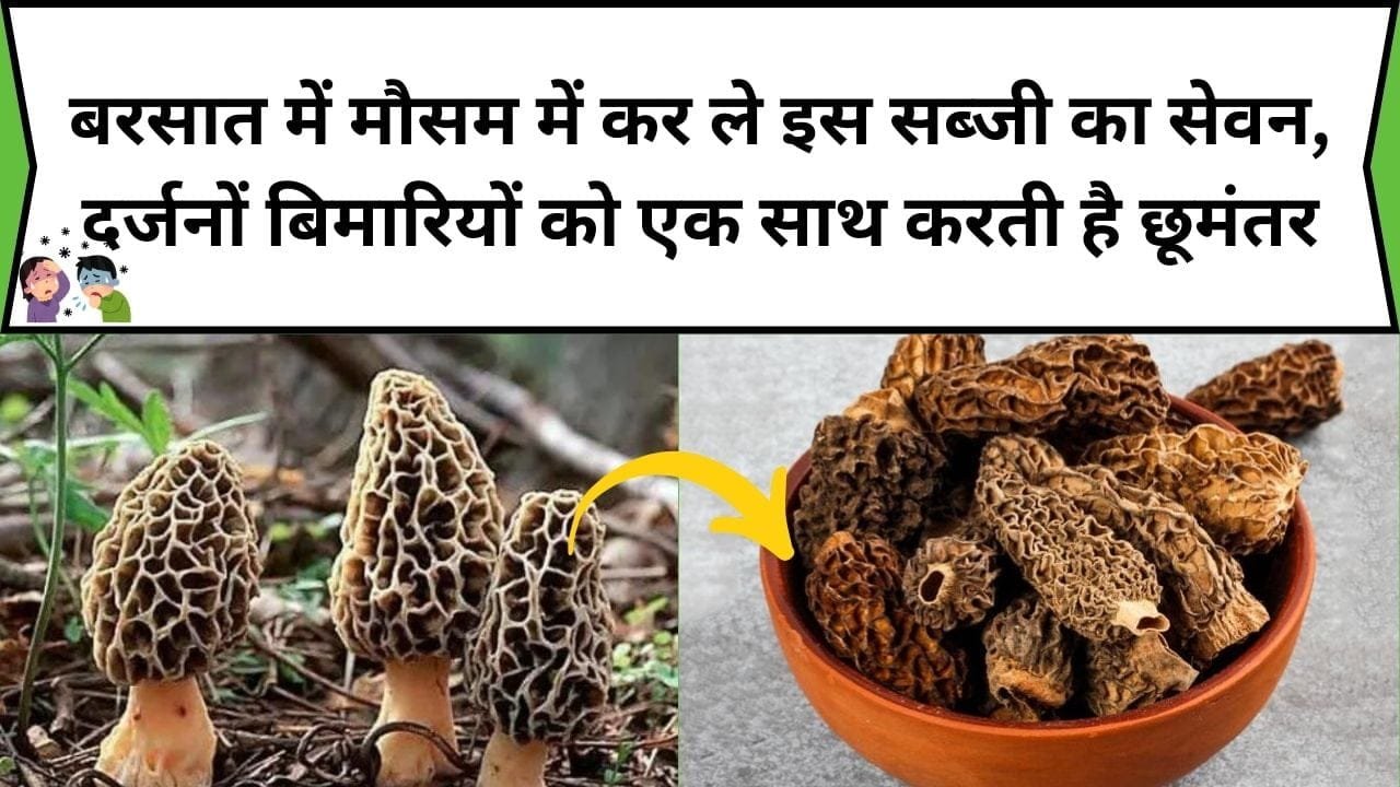 बरसात में मौसम में कर ले इस सब्जी का सेवन, दर्जनों बिमारियों को एक साथ करती है छूमंतर, जाने नाम और काम