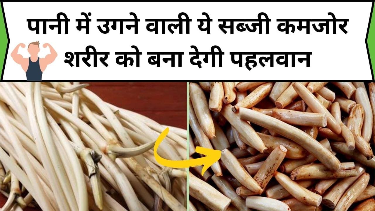 पानी में उगने वाली ये सब्जी कमजोर शरीर को बना देगी पहलवान, इसके सेवन से बीमारी भी शरीर को छूने से डरेगी, जाने नाम और काम