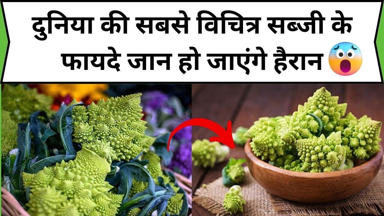 दुनिया की सबसे विचित्र सब्जी के फायदे जान हो जाएंगे हैरान, डाइट में करें शामिल सेहत में दिखेंगे गजब के फायदे, जानिए नाम और फायदे