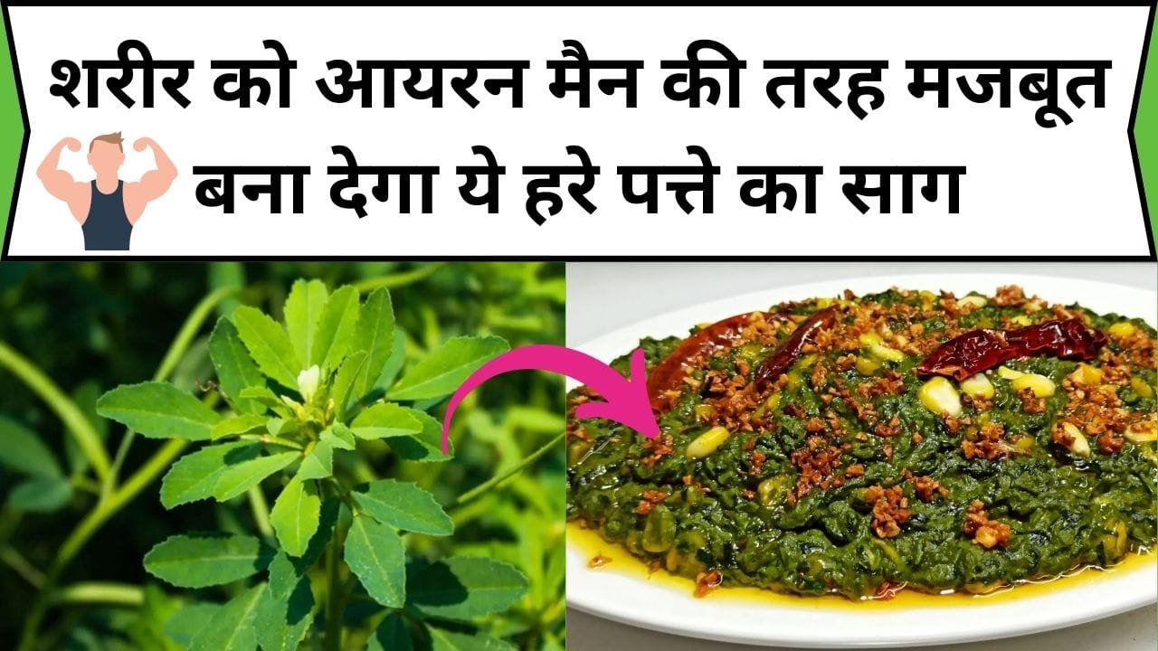 शरीर को आयरन मैन की तरह मजबूत बना देगा ये हरे पत्ते का साग, खाते ही हड्डियों में आएगी दमदार मजबूती, जाने साग का नाम और काम