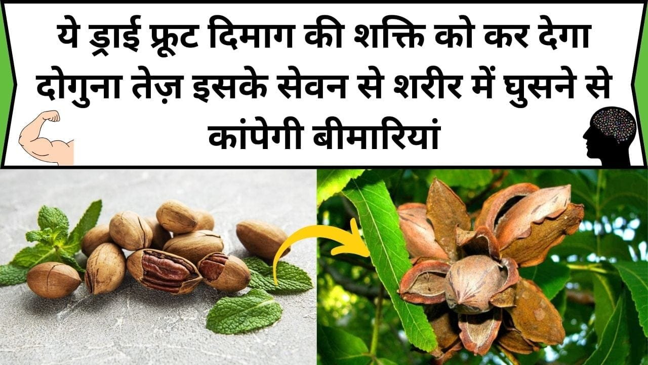 ये बलशाली ड्राई फ्रूट दिमाग की शक्ति को कर देगा दोगुना तेज़, इसके सेवन से शरीर में घुसने से कांपेगी बीमारियां, जाने नाम और फायदे