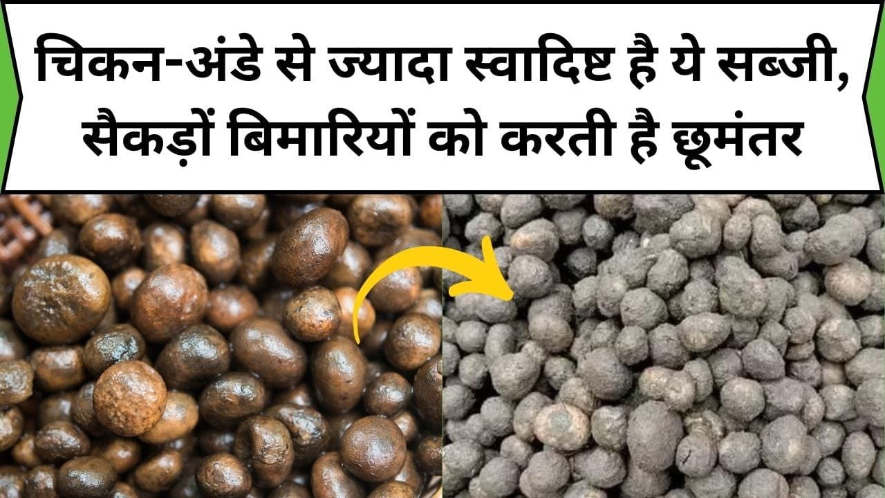 चिकन-अंडे से ज्यादा स्वादिष्ट है ये सब्जी, सैकड़ों बिमारियों को करती है छूमंतर, जाने सब्जी का नाम और काम