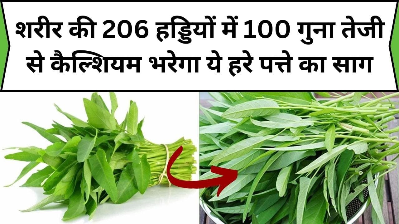 शरीर की 206 हड्डियों में 100 गुना तेजी से कैल्शियम भरेगा ये हरे पत्ते का साग, सेवन करते ही शरीर में आएगी बलवानी ताकत,जाने साग का नाम