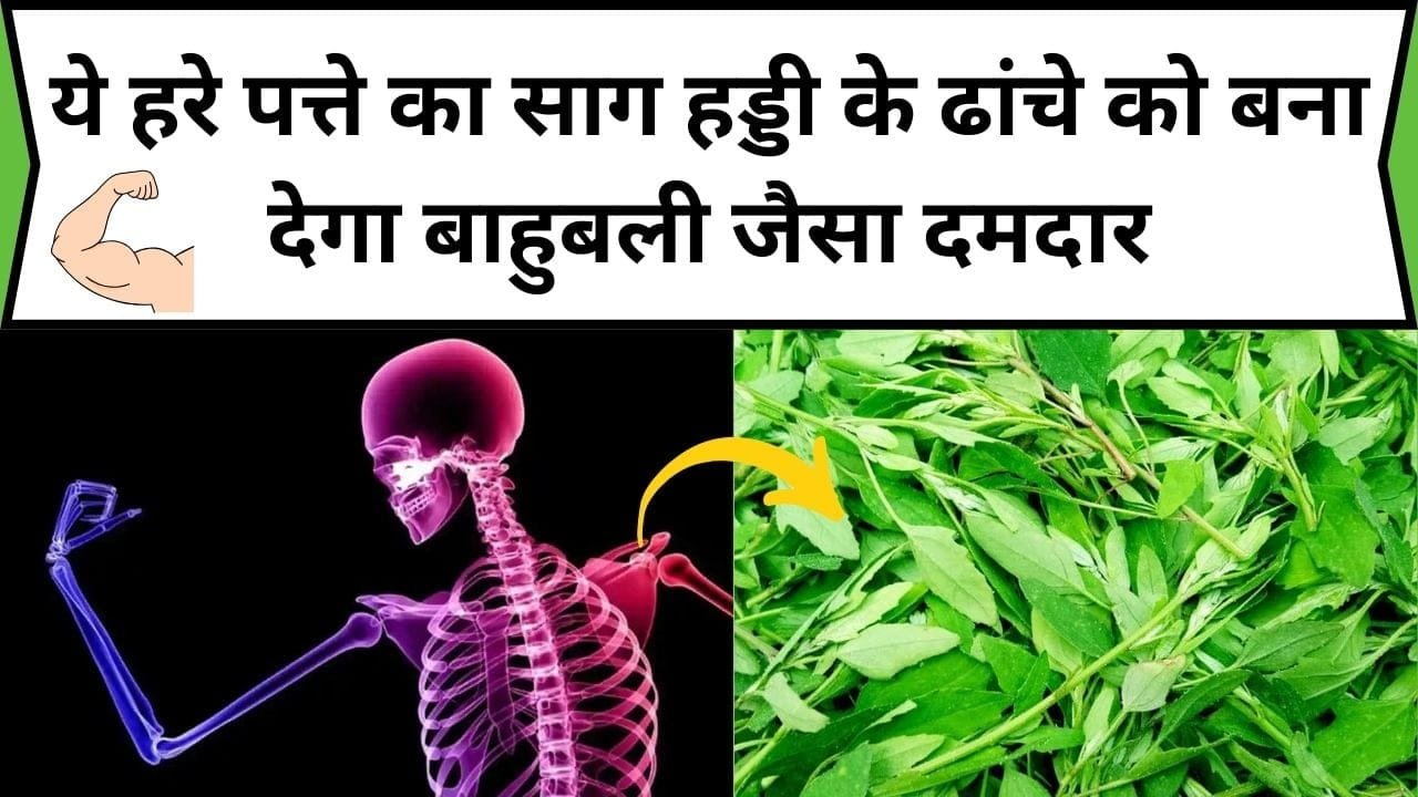 ये हरे पत्ते का साग हड्डी के ढांचे को बना देगा बाहुबली जैसा दमदार, इसके सेवन से रोग मुक्त रहेगा शरीर, जाने साग का नाम और फायदे