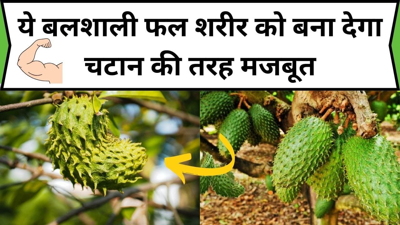 ये बलशाली फल शरीर को बना देगा चटान की तरह मजबूत, इसके सेवन से सेहत में दिखेंगे गजब के फायदे, जाने नाम और काम