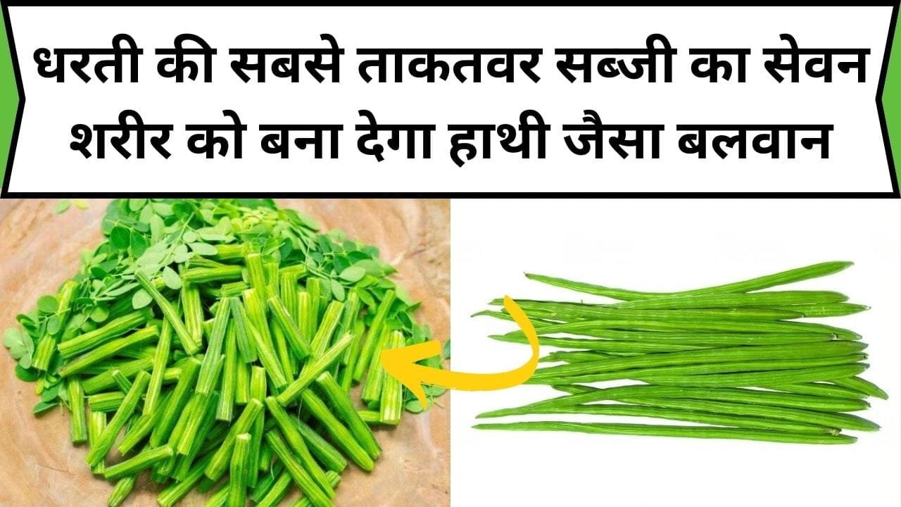 धरती की सबसे ताकतवर सब्जी का सेवन शरीर को बना देगा हाथी जैसा बलवान, इसमें मौजूद है प्रोटीन का भंडार, जाने नाम और फायदे