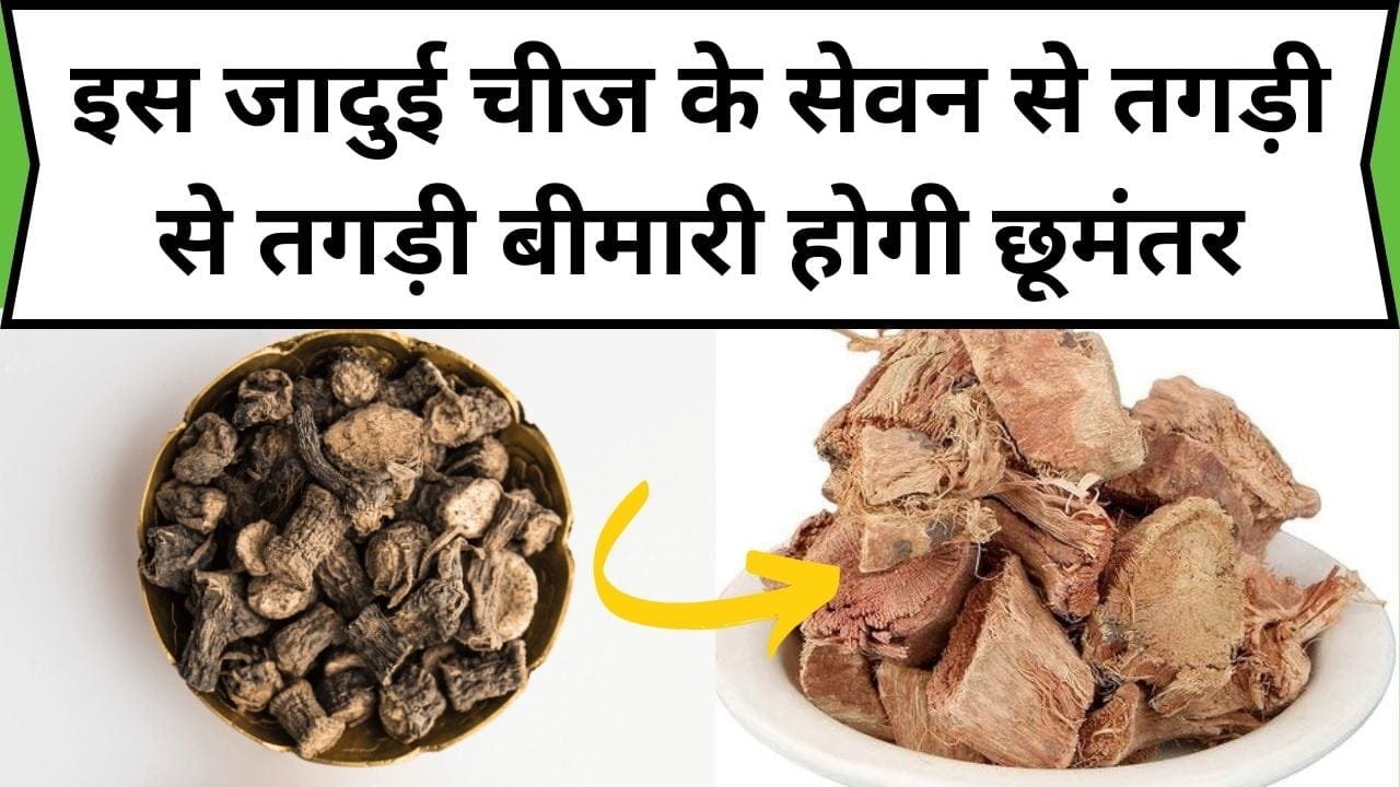 इस जादुई चीज के सेवन से तगड़ी से तगड़ी बीमारी होगी छूमंतर, गिनते-गिनते थक जाएंगे इसके अनगिनत फायदे, जाने नाम और काम