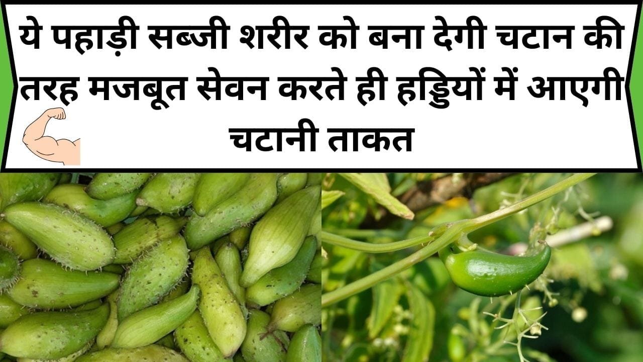 ये पहाड़ी सब्जी शरीर को बना देगी चटान की तरह मजबूत, सेवन करते ही हड्डियों में आएगी चटानी ताकत, जाने सब्जी का नाम और काम