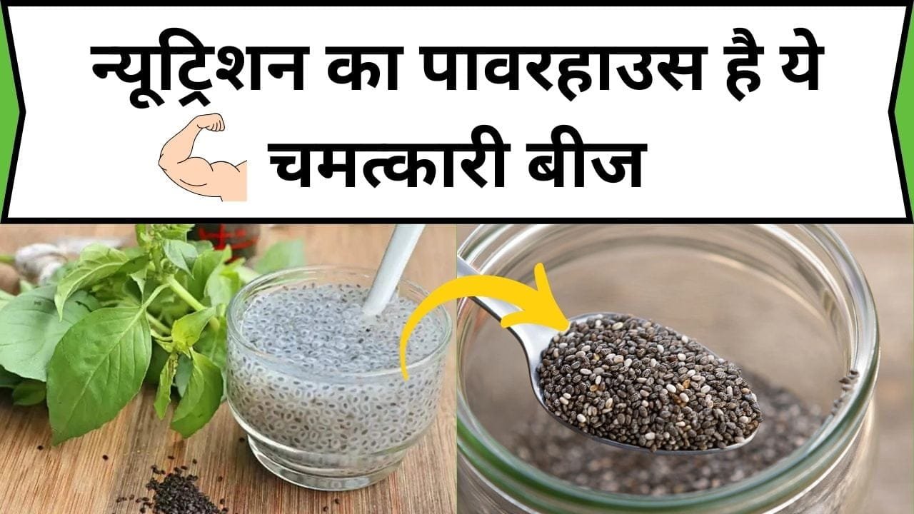 न्यूट्रिशन का पावरहाउस है ये चमत्कारी बीज, हर मौसम में अनेक रोगों का करता है शानदार इलाज, जाने नाम और काम