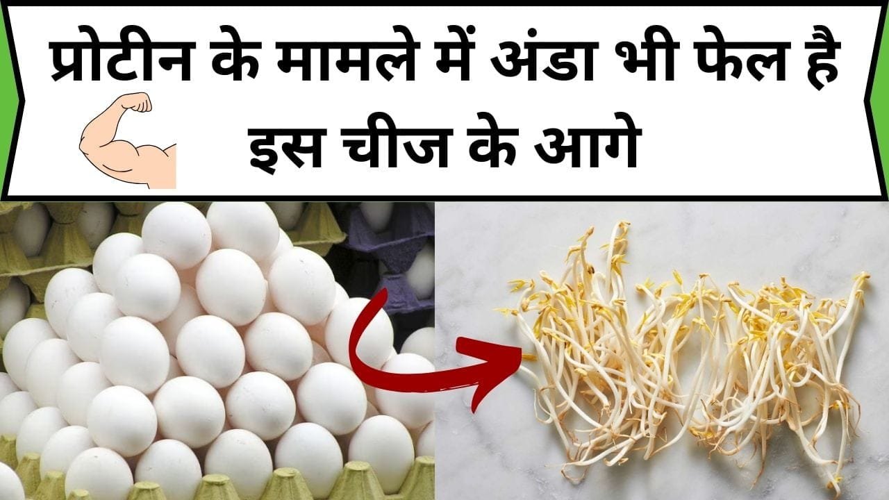 प्रोटीन के मामले में अंडा भी फेल है इस चीज के आगे, इसको खाने से 1 महीने में बन जाएगी तगड़ी बॉडी, जाने नाम और फायदे