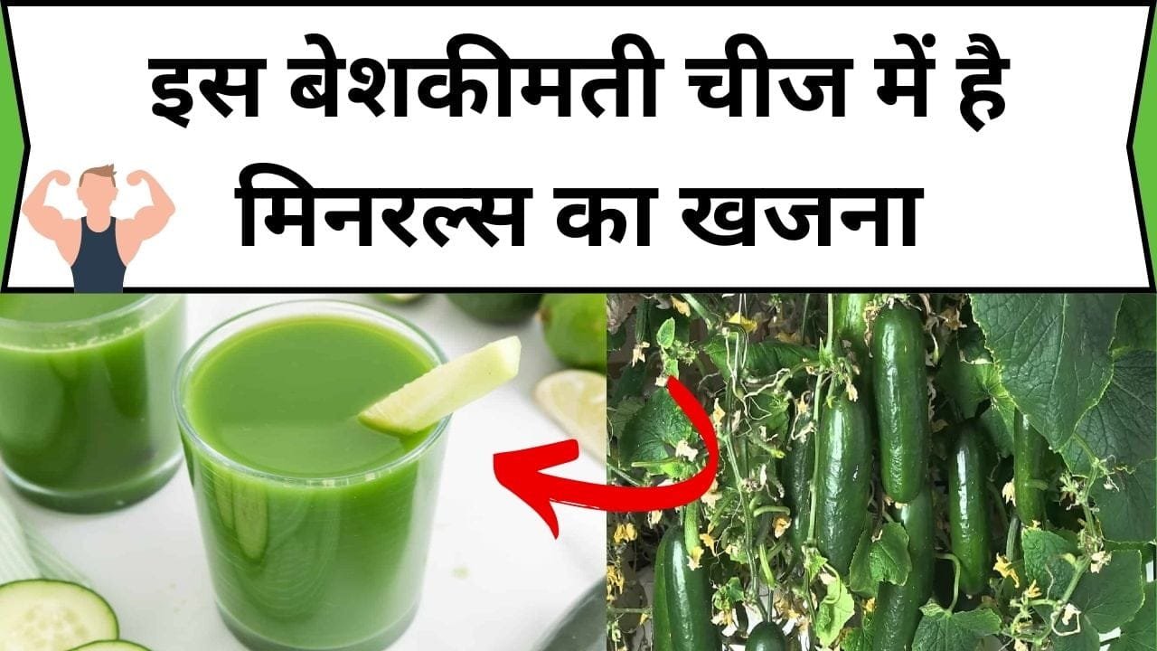 इस बेशकीमती चीज में है मिनरल्स का खजना, डाइट में शामिल करते ही सेहत में दिखेंगे चौका देने वाले फायदे, जाने नाम और काम