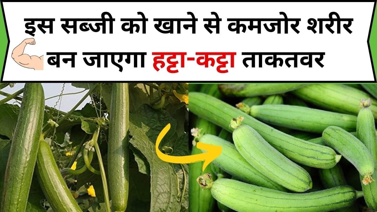 इस सब्जी को खाने से कमजोर शरीर बन जाएगा हट्टा-कट्टा ताकतवर, डाइट में करे शामिल, जाने नाम और काम