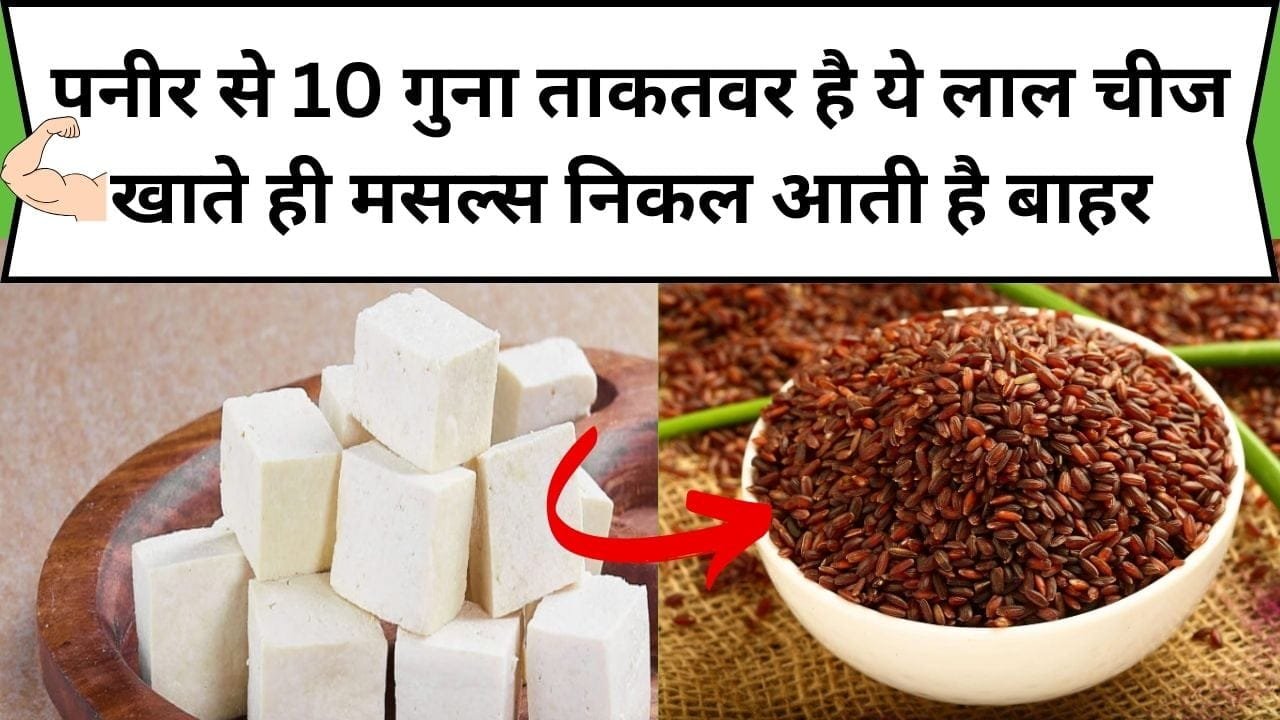 पनीर से 10 गुना ताकतवर है ये लाल चीज, खाते ही मसल्स निकल आती है बाहर और खोकली हड्डी बन जाती है मजबूत, जाने नाम और काम