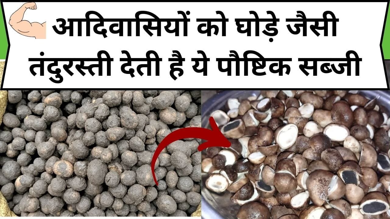 आदिवासियों को घोड़े जैसी तंदुरस्ती देती है ये पौष्टिक सब्जी, नॉनवेज भी इसके सामने फेल है, जाने नाम और काम