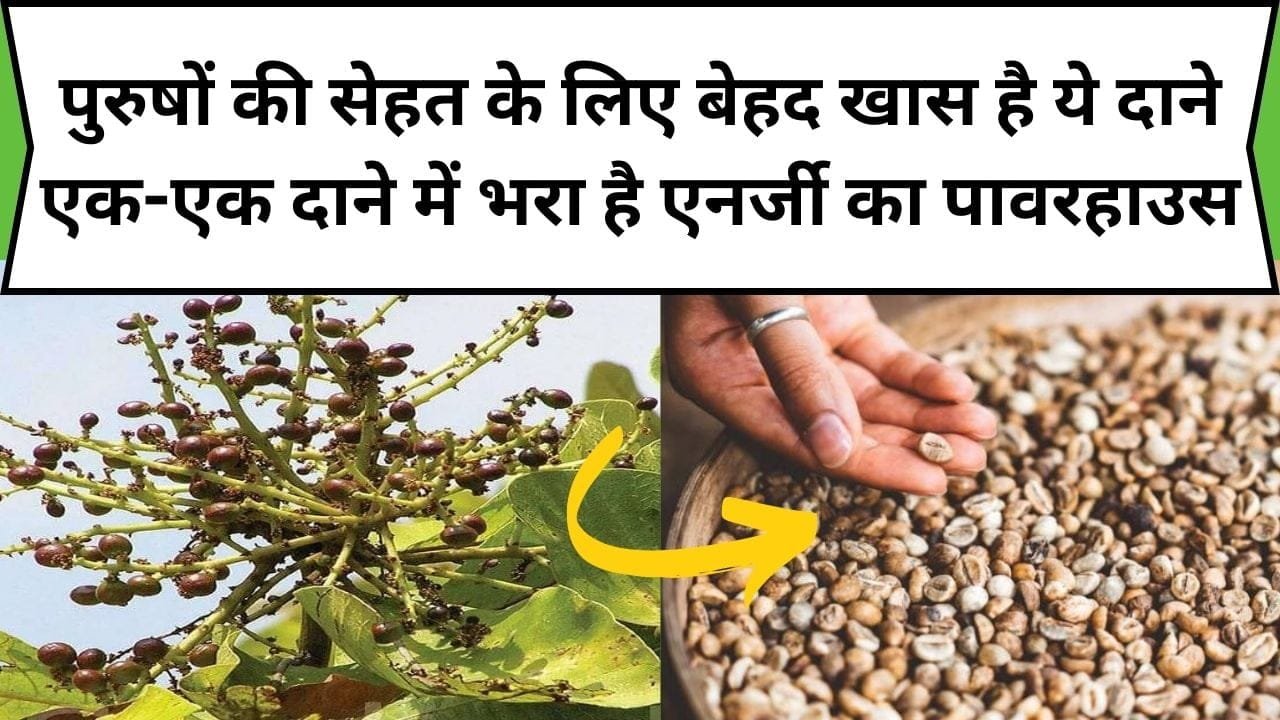 पुरुषों की सेहत के लिए बेहद खास है ये छोटे दाने, एक-एक दाने में भरा है एनर्जी का पावरहाउस, जानिए नाम और फायदे