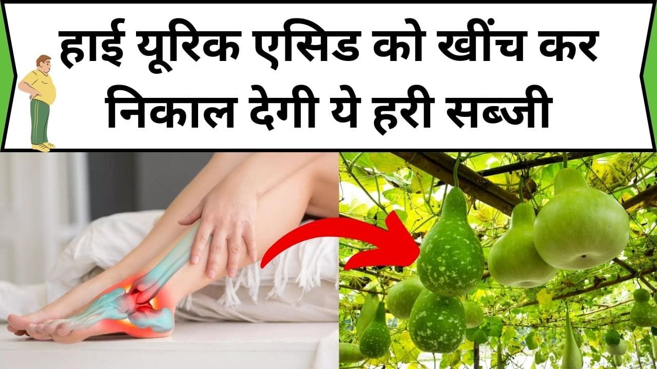 हाई यूरिक एसिड को खींच कर निकाल देगी ये हरी सब्जी, इसको खाने से थुलथुला पेट होगा अंदर, जाने नाम और काम