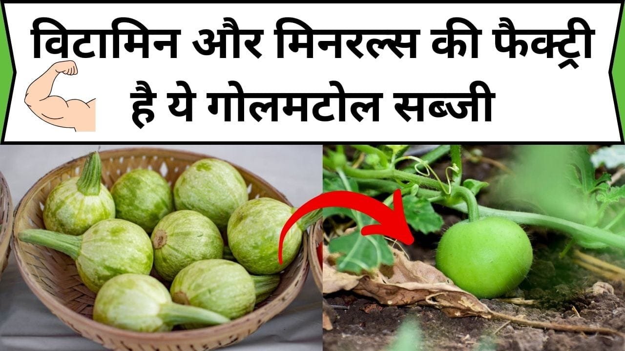 विटामिन और मिनरल्स की फैक्ट्री है ये गोलमटोल सब्जी, इसको खाने से शरीर की नस-नस में ताकत भर जाएगी, जाने सब्जी का नाम और काम