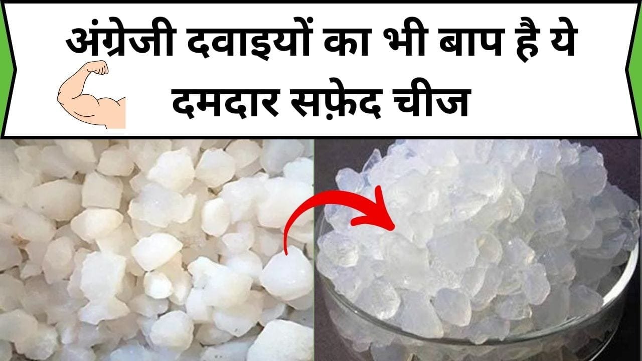 अंग्रेजी दवाइयों का भी बाप है ये दमदार सफ़ेद चीज, बच्चों से लेकर बड़ों तक के लिए बेहद कारगर है, जाने नाम और काम