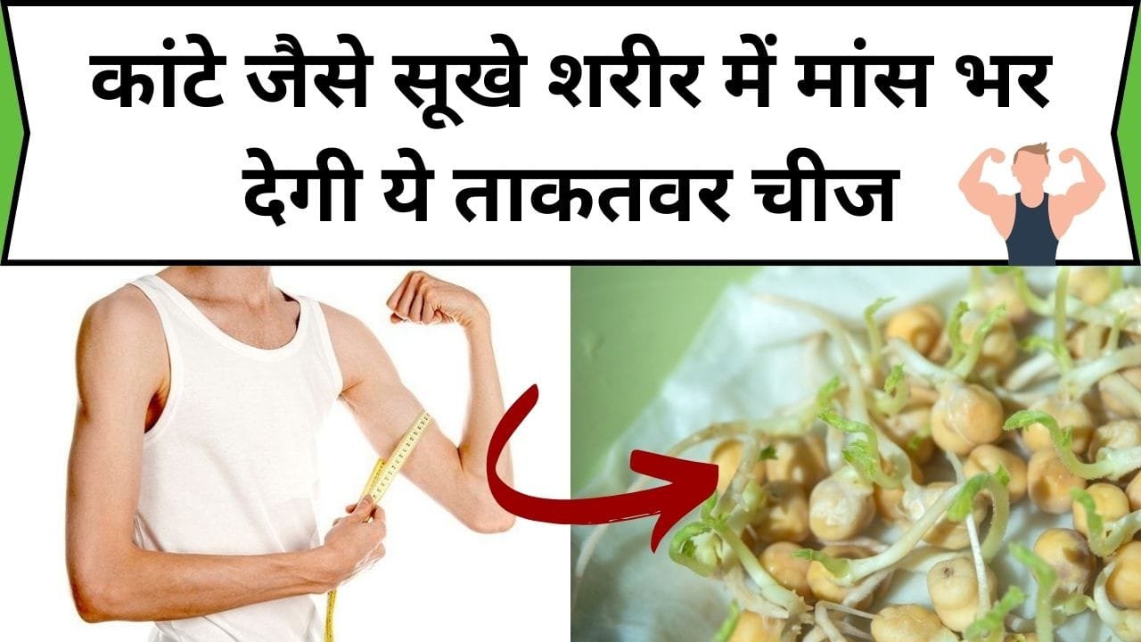 कांटे जैसे सूखे शरीर में मांस भर देगी ये ताकतवर चीज, महीने भर में बन जाएगी तगड़ी सेहत, जाने नाम और फायदे