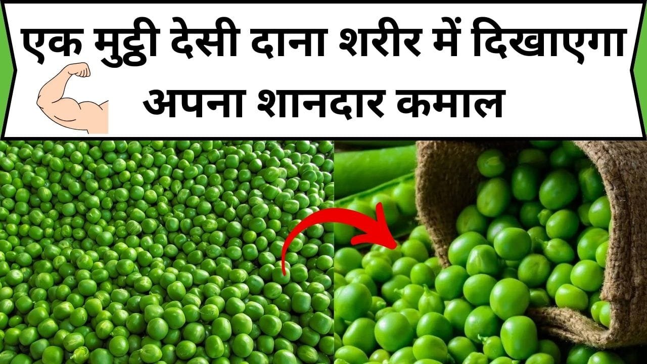 एक मुट्ठी देसी दाना शरीर में दिखाएगा अपना शानदार कमाल, नस-नस में भर देगा बलवानी ताकत, जाने नाम और काम