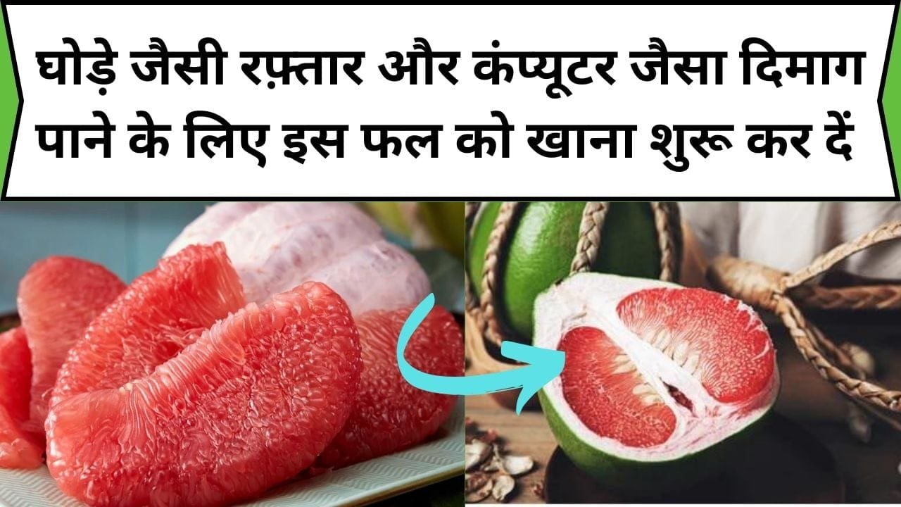 घोड़े जैसी रफ़्तार और कंप्यूटर जैसा दिमाग पाने के लिए इस फल को खाना शुरू कर दें, इम्यूनिटी भी होगी स्ट्रांग, जाने नाम और काम