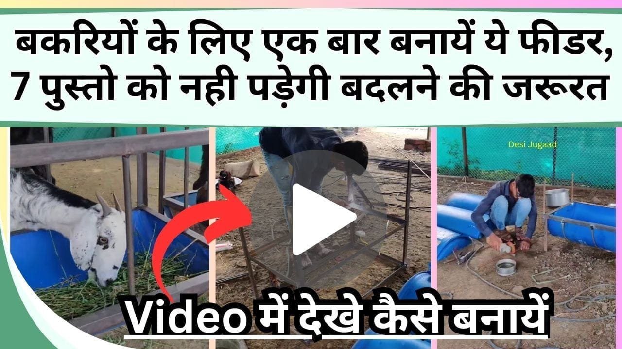 बकरियों के लिए एक बार बनायें ये फीडर, 7 पुस्तो को नही पड़ेगी बदलने की जरूरत, Video में देखे कैसे बनायें
